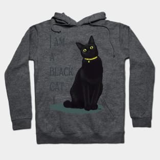 I am a black cat Hoodie